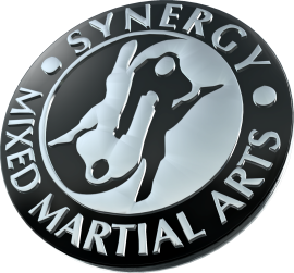 synergy-logo-mma-3d-silver_2